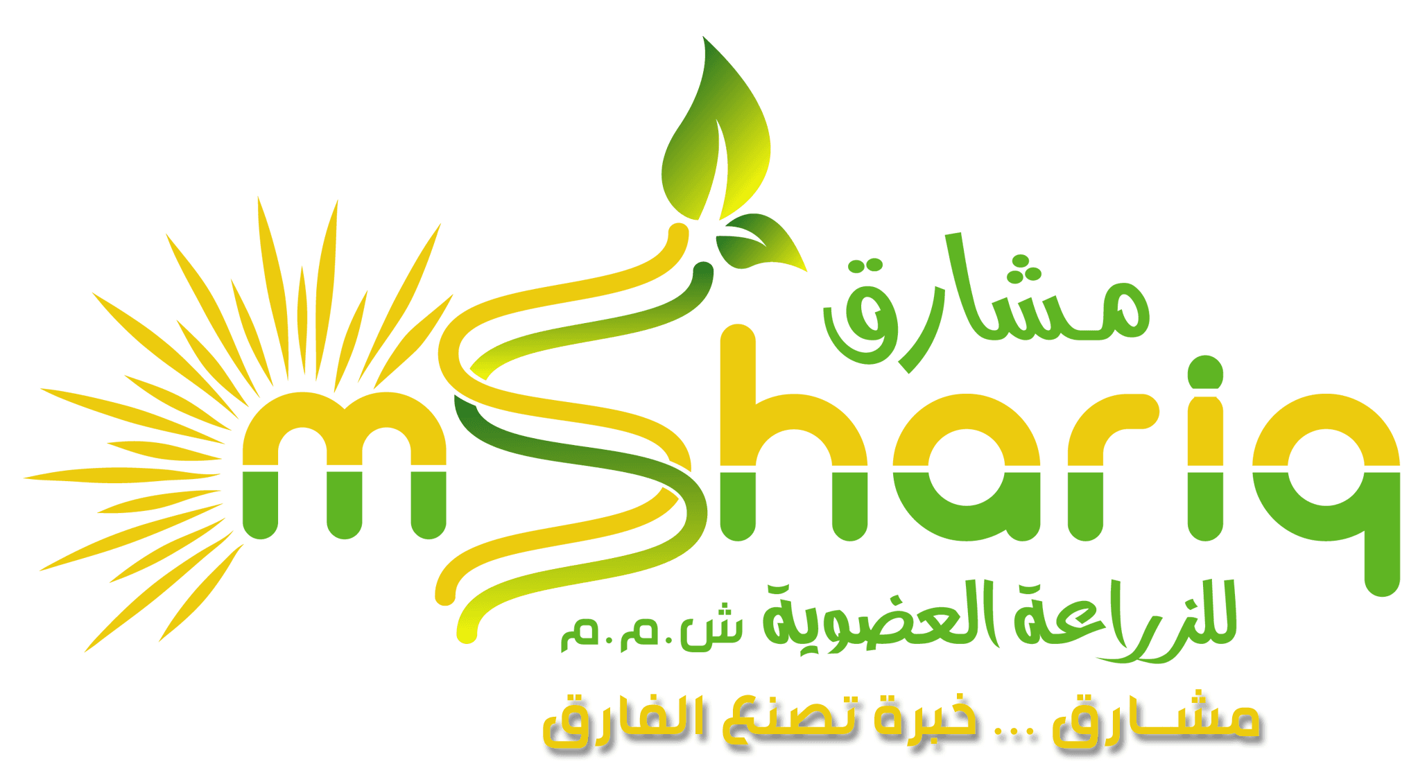 شركة مشارق