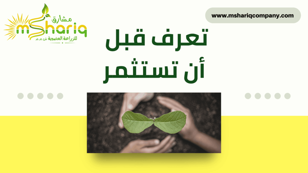 أفضل استثمار زراعي