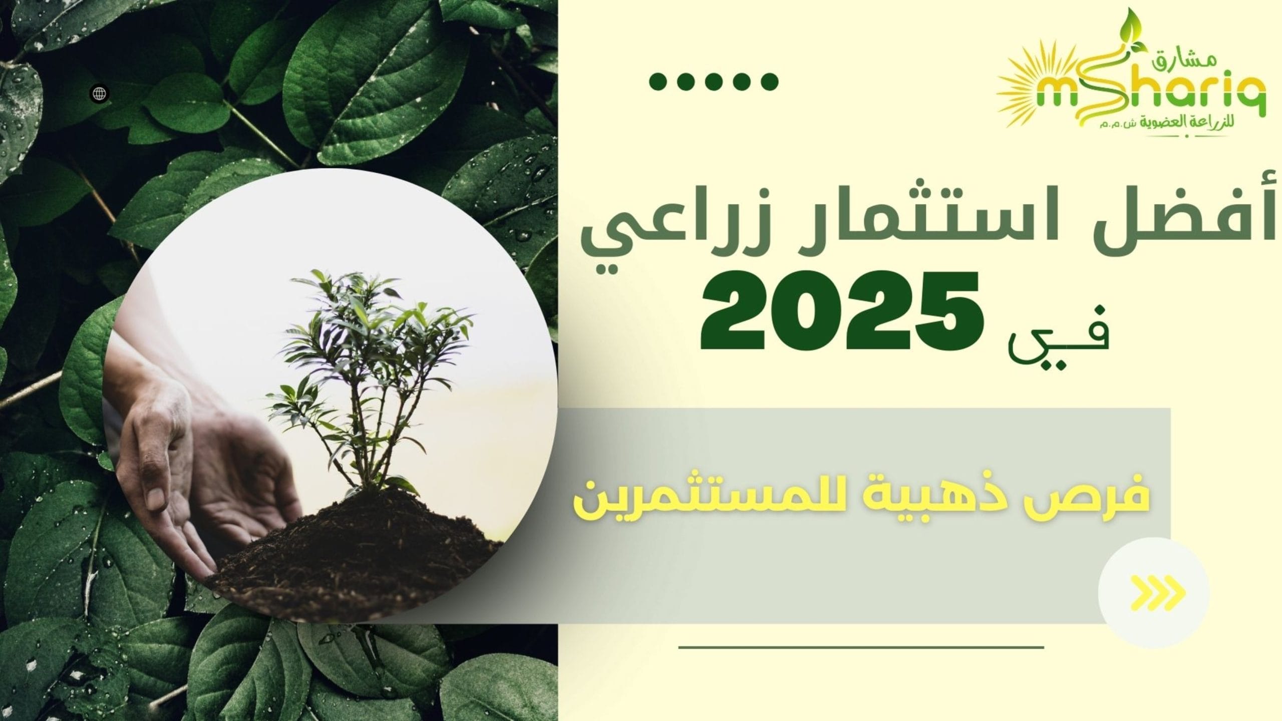 أفضل استثمار زراعي في 2025