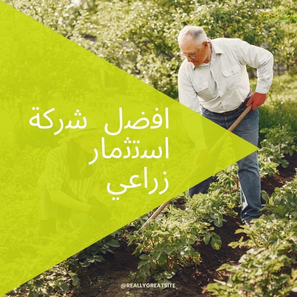 اﻓﺿل ﺷرﻛﺔ اﺳﺗﺛﻣﺎر زراﻋﻲ 2