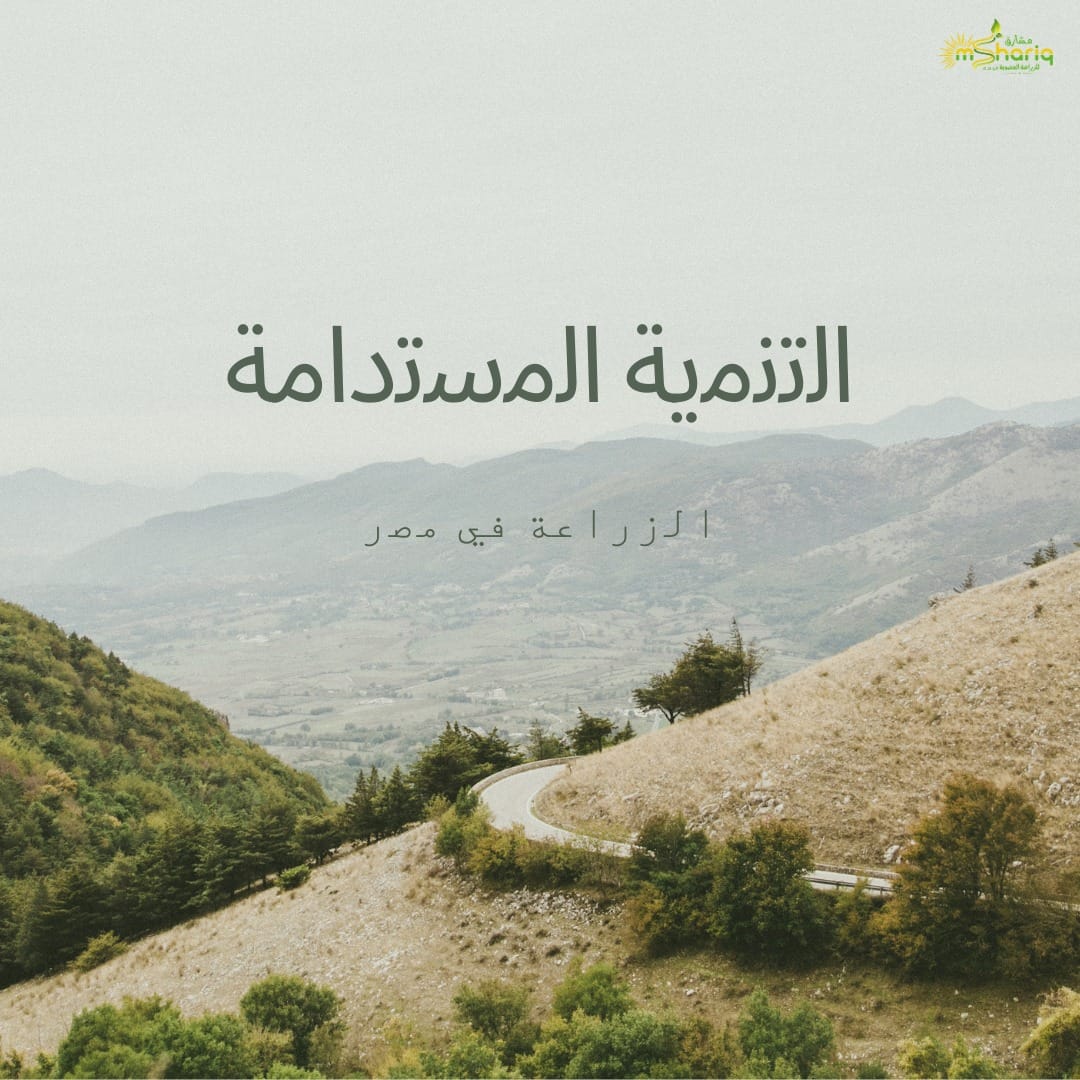 اﻟﺗﻧﻣﯾﺔ اﻟﻣﺳﺗداﻣﺔ ﻓﻲ اﻟزراﻋﺔ ﻓﻲ ﻣﺻر