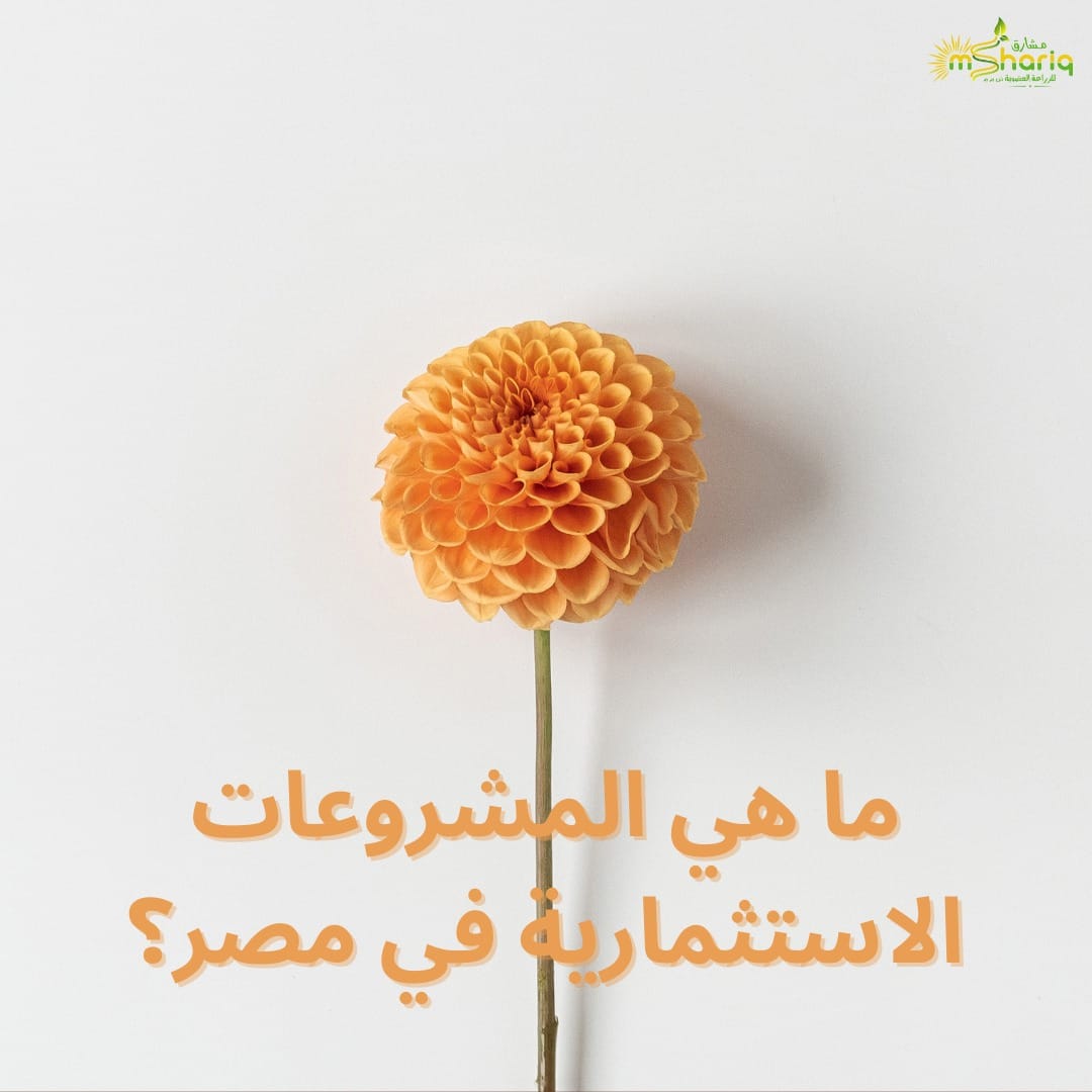 ما هي المشروعات الاستثمارية في مصر؟