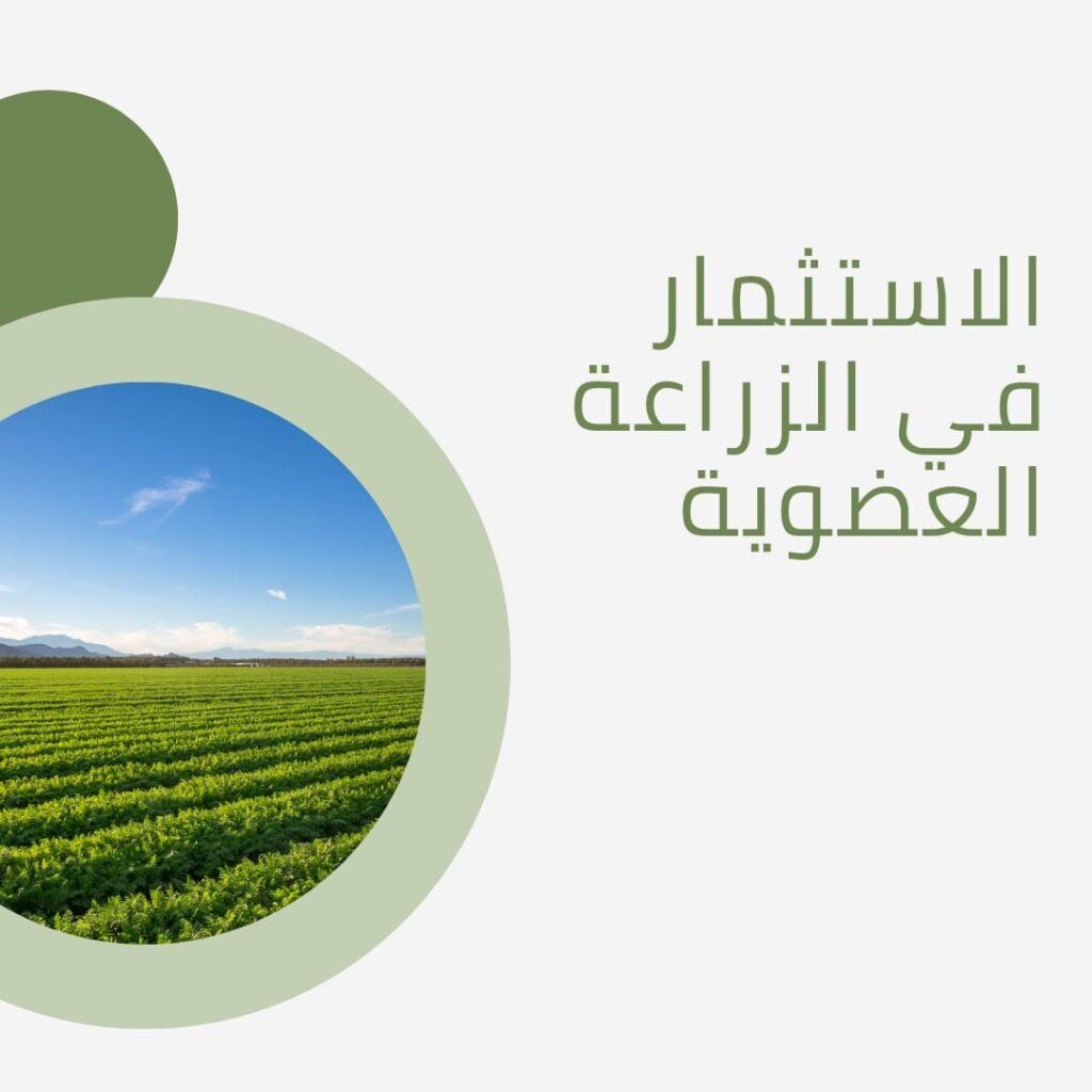 الاستثمار في الزراعة العضوية