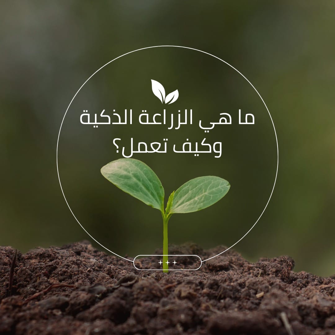 ما هي الزراعة الذكية وكيف تعمل؟