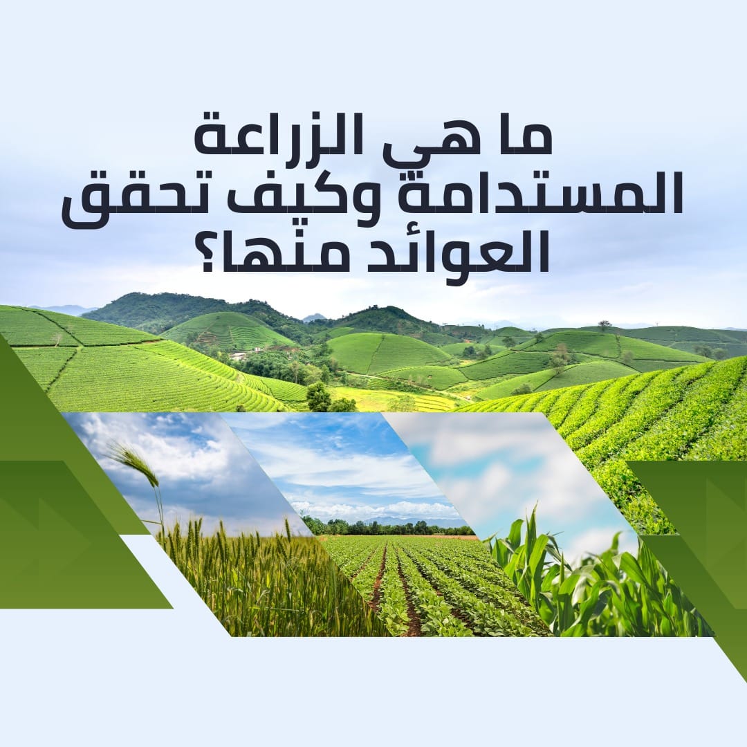 ما هي الزراعة المستدامة وكيف تحقق العوائد منها؟